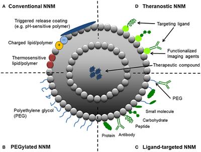 Current Trends and Challenges in the Clinical Translation of Nanoparticulate Nanomedicines: Pathways for Translational Development and Commercialization